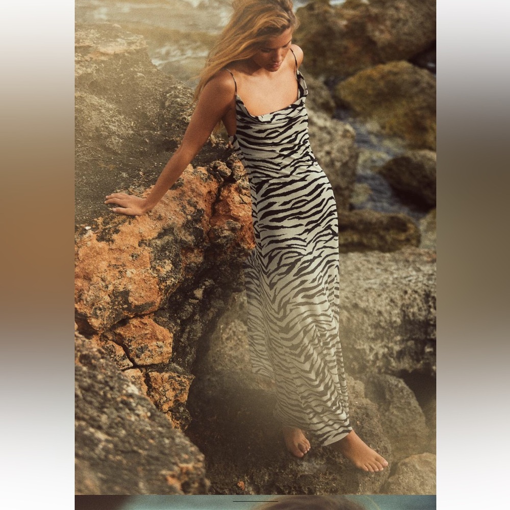 Zara Print Maxi Dress